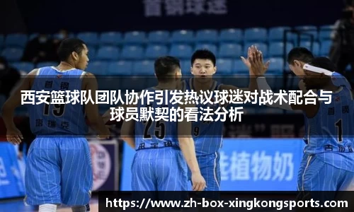西安篮球队团队协作引发热议球迷对战术配合与球员默契的看法分析